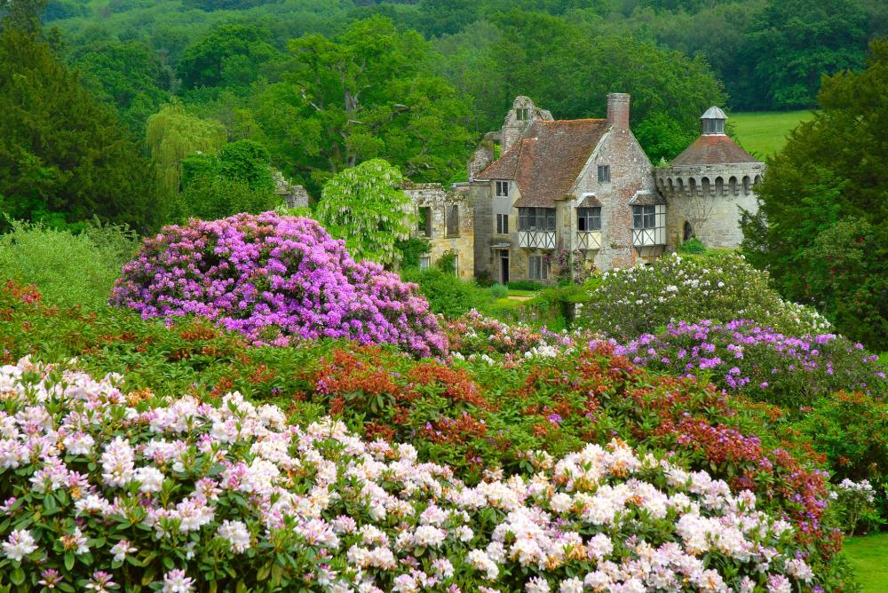Why We Love and Support National Trust?
