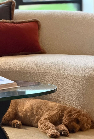 Velvet Cushions