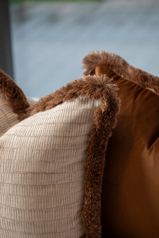 Champagne, Caraway and Almond Cushion Set